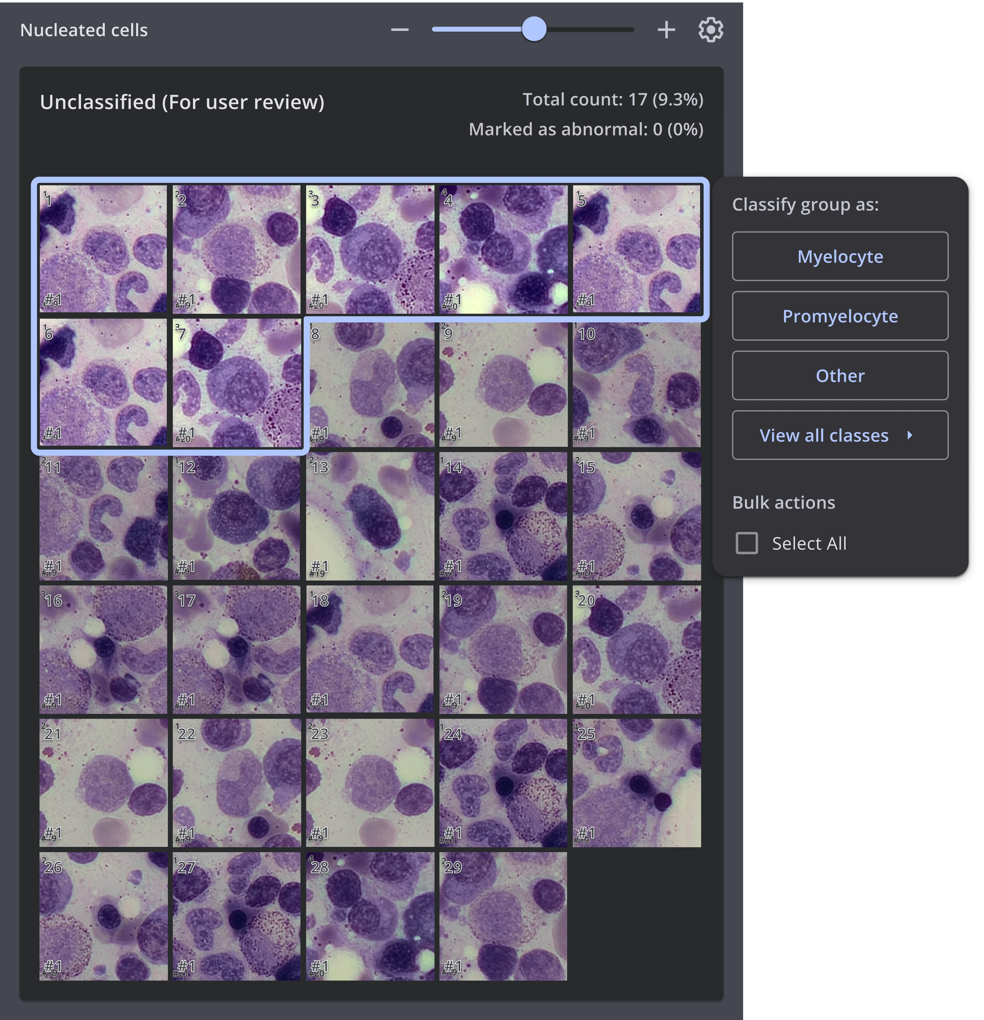 Default view